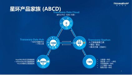 大數(shù)據(jù)3.0新時代 星環(huán)科技的思與行——從技術(shù)深耕到數(shù)據(jù)服務(wù)賦能
